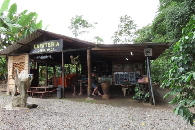 coffee-tour-la-fortuna