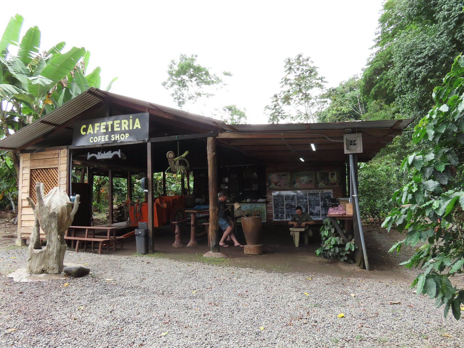 coffee-tour-la-fortuna