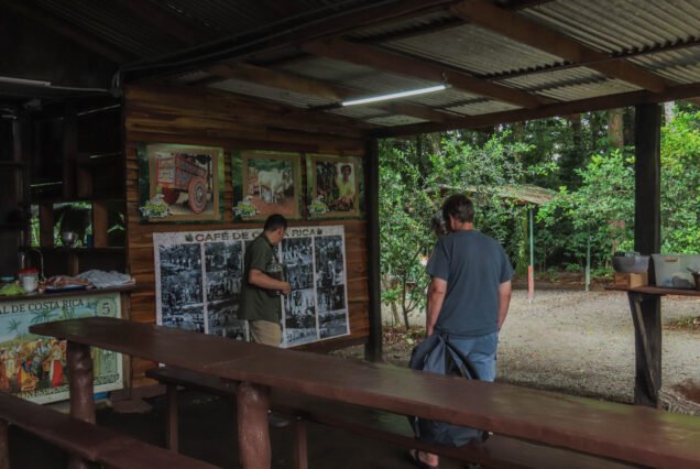 coffee-tour-la-fortuna