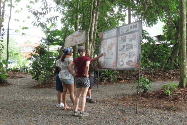 coffee-tour-la-fortuna